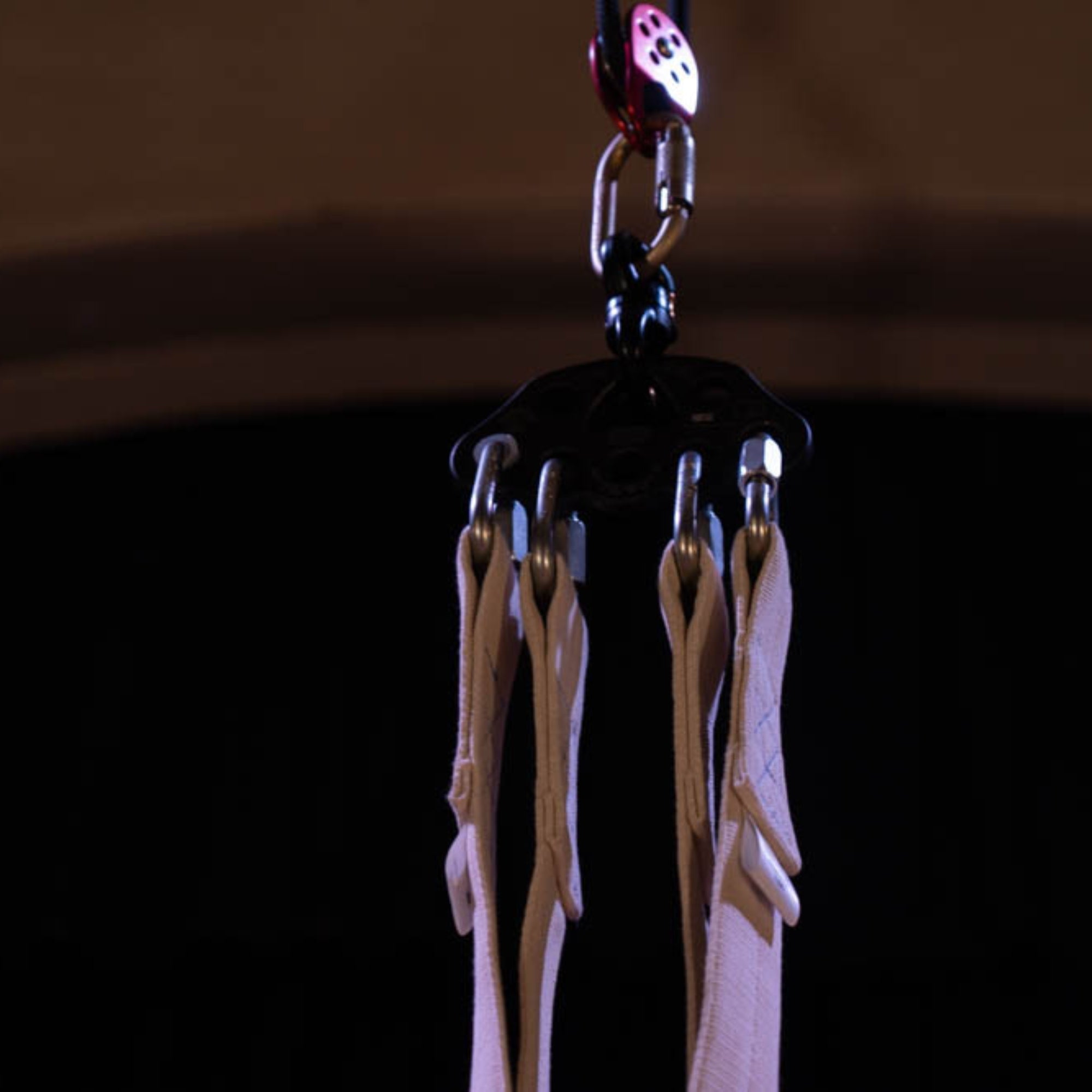 single pulley in aerial rigging